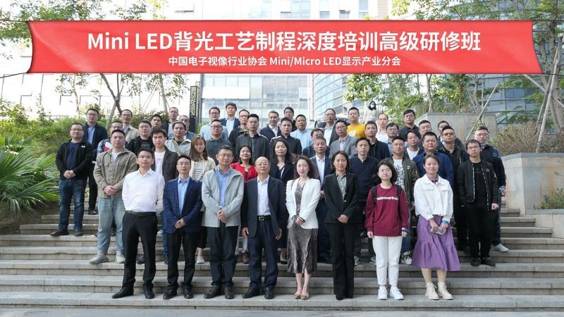 祝贺志凌伟业当选中国电子视像行业协会Mini/Micro LED显示产业分会会员单位
